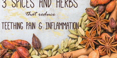 Three Spices And Herbs That Reduce Teething Pain And Inflammation