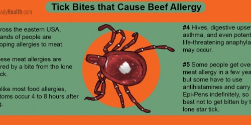 Do You Have A Beef With The Lone Star Tick? Tick Bite Causes Meat Allergy