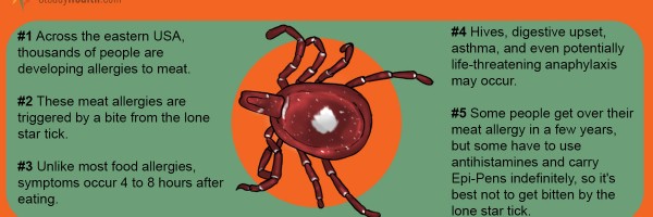 Do You Have A Beef With The Lone Star Tick? Tick Bite Causes Meat Allergy