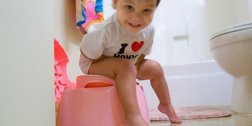 Potty Training Tips for Toddlers: Advice to Toilet Teaching Your Child