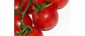 Top Ten Herbs for Prostate Health