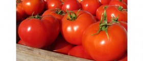 Picky Eater, Here Is Your List Of Healthy Foods