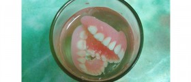 Scientists Create Tooth Replacements With Mouse Cells