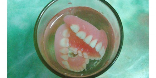 Scientists Create Tooth Replacements With Mouse Cells