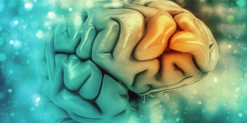 Top 6 Facts And Statistics About Alzheimer's Disease