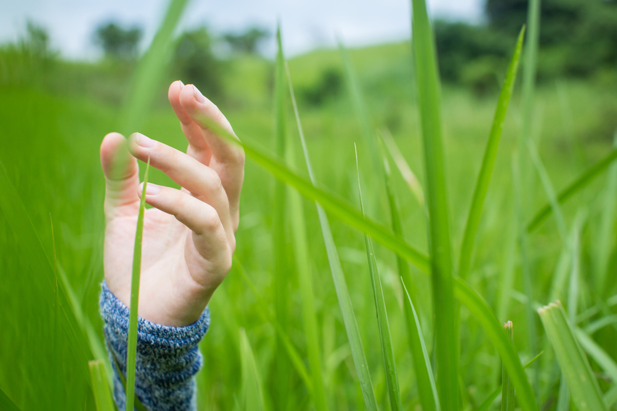 What does go touch grass mean? I searched online but I didn't really get  an answer : r/teenagers