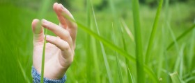 Touch Grass, Kid: Why Gamers Should Ditch Their Keyboards and Screens and Play Around with Nature
