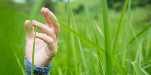 Touch Grass, Kid: Why Gamers Should Ditch Their Keyboards and Screens and Play Around with Nature