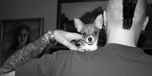 Why Do Women Fall For Bad Boys?