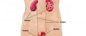 Pain in urethra: Causes & Risk factors