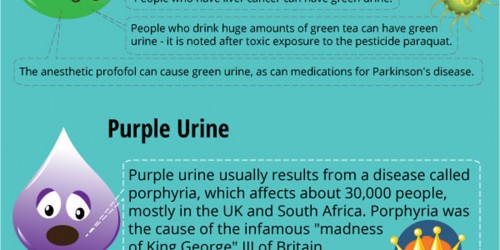 UTIs during pregnancy: are they dangerous?