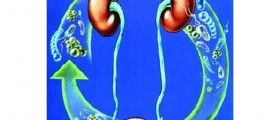 Recurring Urinary Tract Infection