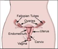 Pregnancy and Urinary Tract Infections