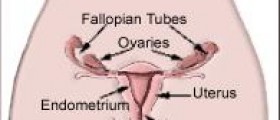 Urinary Tract Infections in Women: Why they occur and how to treat them?