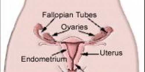 Urinary Tract Infections in Women: Why they occur and how to treat them?