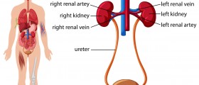 Living with failed kidneys