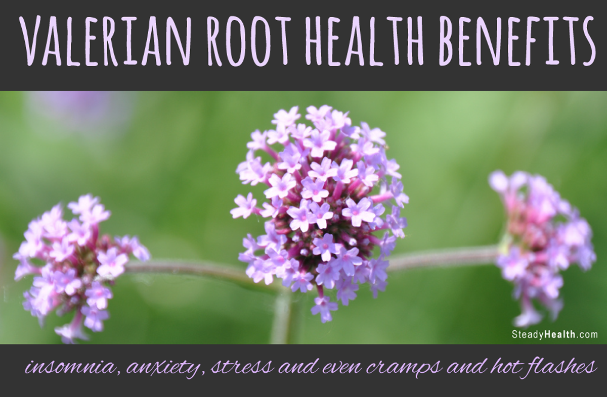 Valerian Root Health Benefits: Insomnia, Anxiety, Stress And Even ...