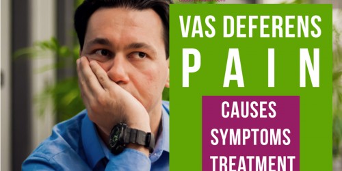 Vas Deferens Pain: Causes, Symptoms And Treatment