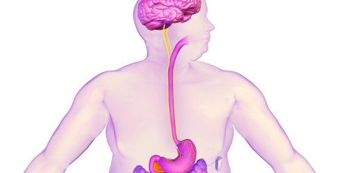 New Weight Loss Solution: An Implantable Device That Reduces Appetite