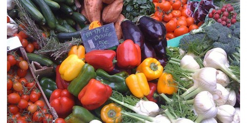 Top Reasons You Should Go Vegan