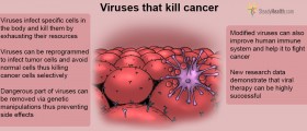 Viral Therapy: Potential Single Shot Cure For Cancer?