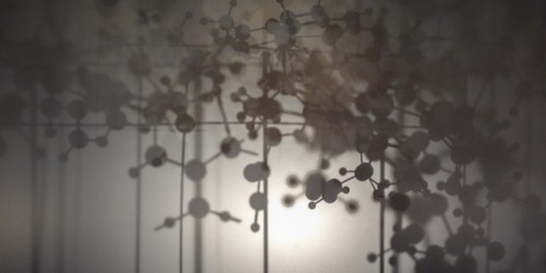 What Every Vegetarian Should Know About Vitamin B12