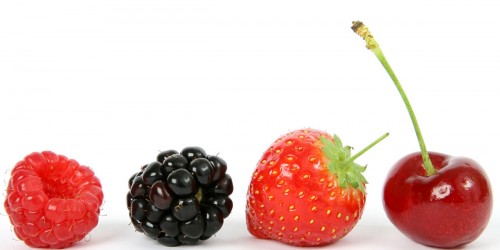 Study Puts New Light on Fructose as a Trigger for Type 2 Diabetes