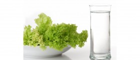 Detox Diet Against Candida