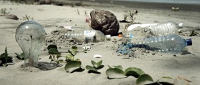 Environmental Toxins Linked To Obesity And Diabetes