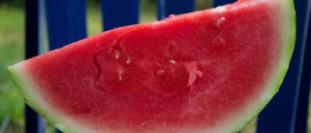 Is Healthy Eating for the Rich Only?