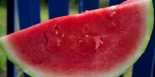 Is Healthy Eating for the Rich Only?