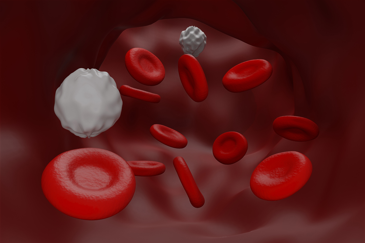 What Causes Low White Blood Cells In The Body