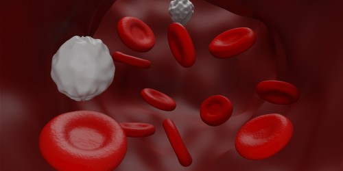 Low White Blood Cells Count