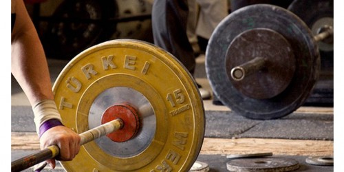 Best Ways To Increase Your Muscle Size