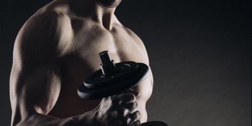 The Best Exercises For Arm Mass