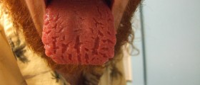 9 Secrets Your Tongue Reveal About Your Health: Are You Brave Enough To Look?
