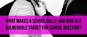 What Makes A School Bully, And Who Is A Vulnerable Target For School Bullying?