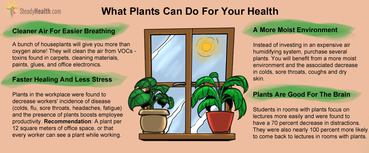 What Plants Can Do For Your Health Healthy Living articles Well