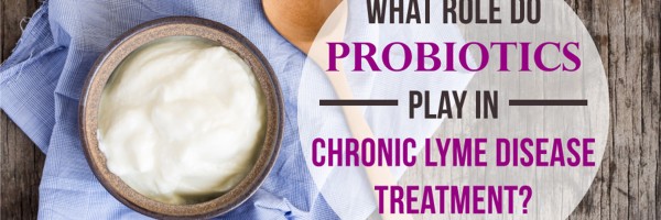 What Role Do Probiotics Play In Chronic Lyme Disease Treatment?