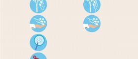 IVF In Northern Ireland: Which Belfast Fertility Clinic Should You Choose For Self-Funded Treatment?
