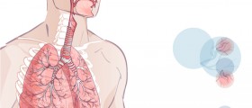 What Should You Know About ALS (Amyotrophic Lateral Sclerosis) And Breathing Problems