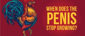 When Does The Penis Stop Growing? Average Penis Size And Penile Growth From Childhood To Adulthood
