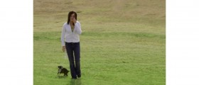 Dog Walking: Better Health for Dogs and Owners
