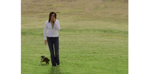 Dog Walking: Better Health for Dogs and Owners