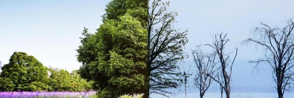 World & Health 2022: How Do We Solve Problems And Overcome Fear In The Face Of Pandemics, War, Climate Change, And Disease?