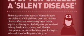 Kidneys Are The Hardest Workers In Your Body
