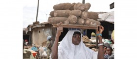 Yam Offers Numerous Health Benefits