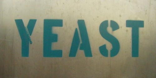 Trying to conceive and yeast infections