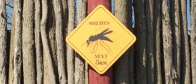 Could The Zika Virus Be Responsible For A Serious Autoimmune Brain Disorder In Adults Too?