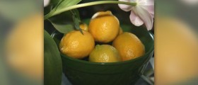 7 day detox diet